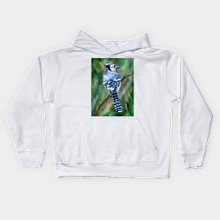 Blue Jay Kids Hoodie